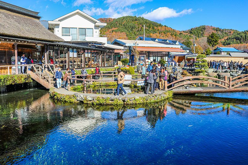 【忍野八海‧山中湖2023完全攻略】景點介紹‧美食餐廳‧購物名產‧一日遊行程‧交通方式|Lazy Japan 懶遊日本 【忍野八海‧山中湖2023完全攻略】景點介紹‧美食餐廳‧購物名產‧一日遊行程‧交通方式|Lazy Japan 懶遊日本