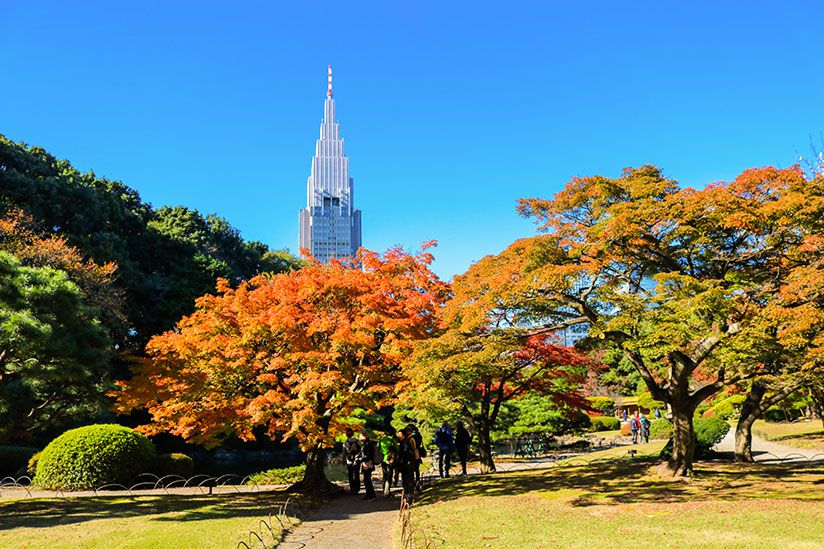 東京賞楓 紅葉 銀杏景點推薦 排行 介紹 Lazy Japan 懶遊日本